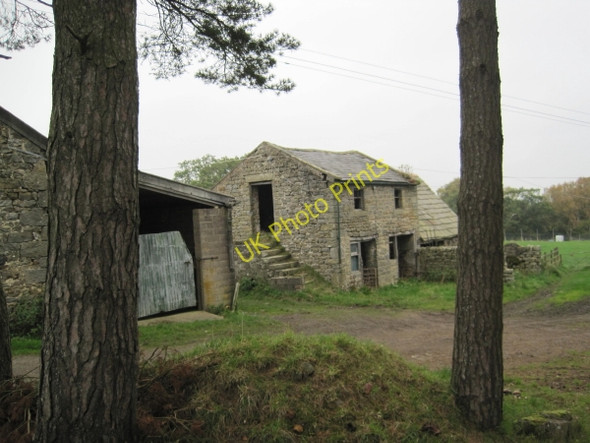 Photo 6"x4" Farm Buildings at Briarwood Farm Ridley\/NY7963 c2010