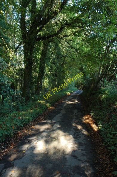 Photo 6"x4" Country road near Banton The Cot c2010