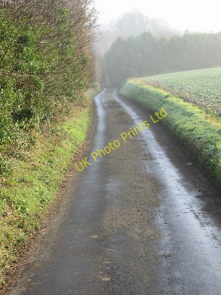 Photo 6"x4" Popsal Lane on a misty morning Wingham c2007