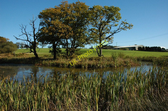 Photo 6"x4" Pool on Gaer Hill The Cot c2010