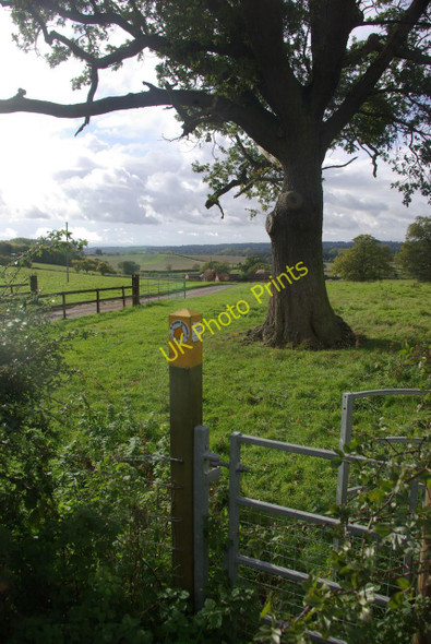 Photo 6"x4" Footpath towards Middle Spernall Farm New End\/SP1060 c2010