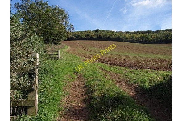 Photo 6"x4" Field near Chitterley Chitterley c2010