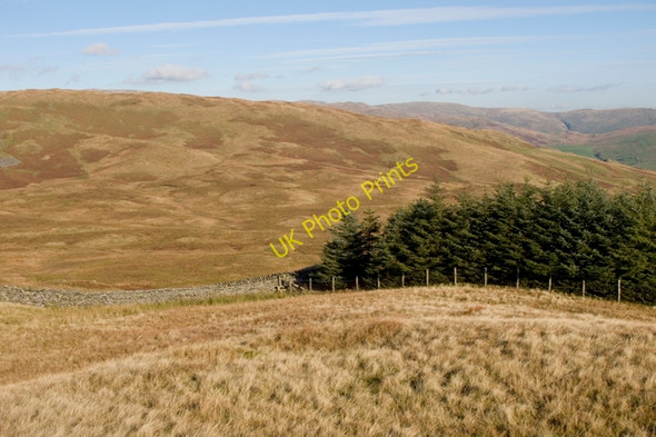 Photo 6"x4" Plantation on Sour Howes High Green\/NY4103 c2010