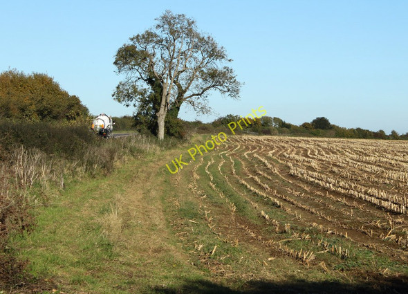 Photo 6"x4" 2010 : Maize field after harvesting Leighton\/ST7043 c2010
