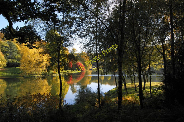 Photo 6"x4" Through the trees as Stourhead Stourton\/ST7734 c2010