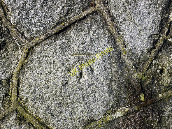 Photo 6"x4" Bench Mark, Spelga Dam Hilltown\/J2128 c2010