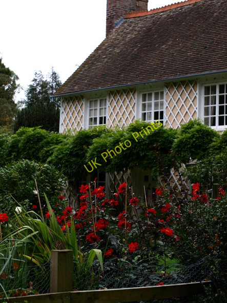 Photo 6"x4" Dahlia Cottage Old Warden c2010