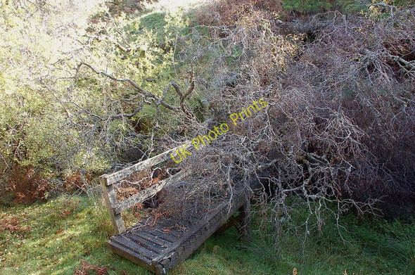 Photo 6"x4" Old footbridge at Hawkshaw Cleuch Dryhope c2010
