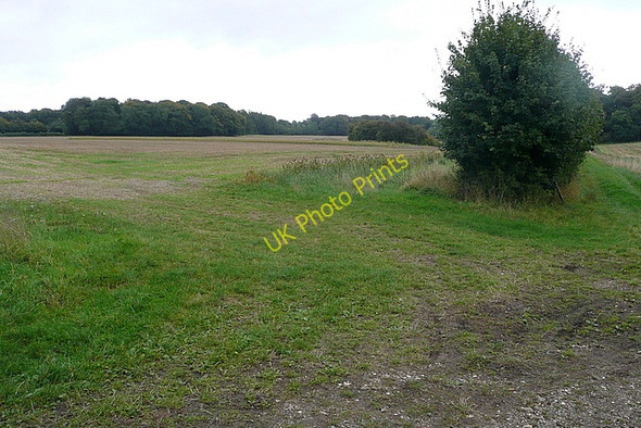 Photo 6"x4" Footpaths at Huntercombe End Huntercombe End c2010