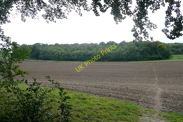 Photo 6"x4" The Ridgeway path Huntercombe End c2010