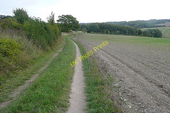 Photo 6"x4" Chiltern Way at Harcourt Hill Nuffield c2010