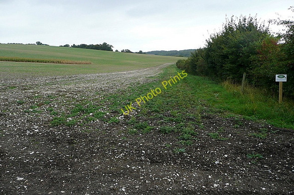 Photo 6"x4" Farmland at Harcourt Hill Oakley Court c2010