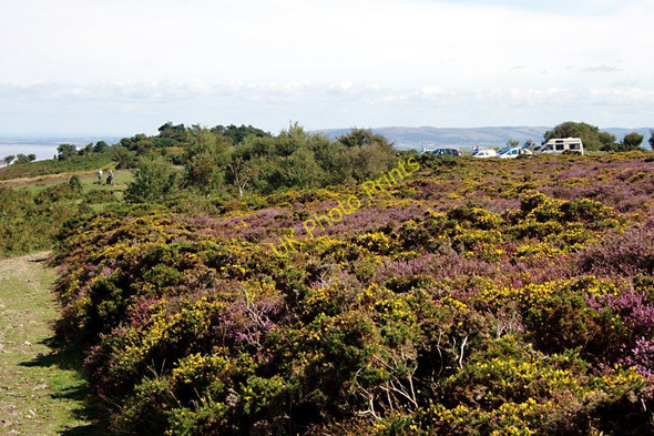 Photo 6"x4" Moorland Car Park Minehead c2010