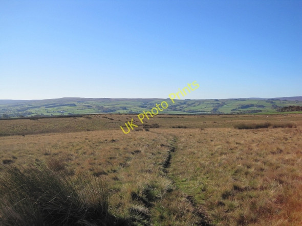 Photo 6"x4" Bridleway over Brownley Hill Catton\/NY8257 c2010