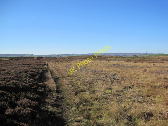 Photo 6"x4" Bridleway near Rebel Hill Catton\/NY8257 c2010