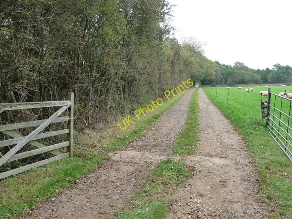 Photo 6"x4" Track to The Heath Pickworth\/SK9913 c2010