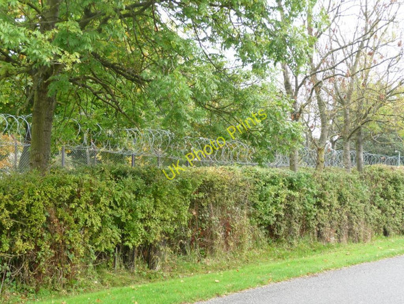 Photo 6"x4" Hedgerow with razor wire Alconbury c2010