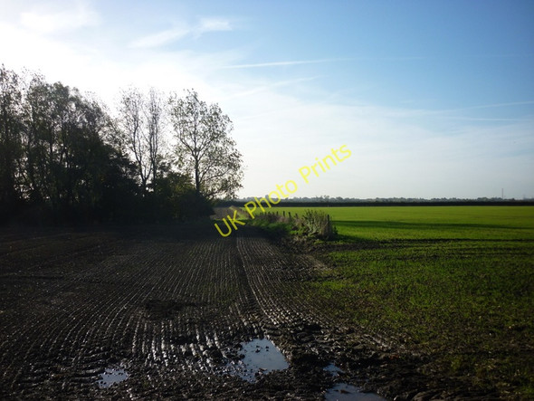 Photo 6"x4" Looking south from Hill Farm Swine c2010