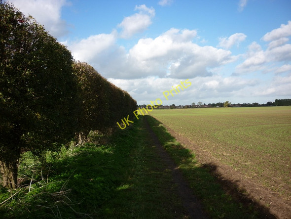 Photo 6"x4" The bridleway to Tickton Tickton c2010