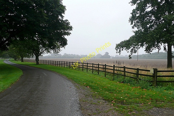 Photo 6"x4" Ewelme Park Huntercombe End c2010