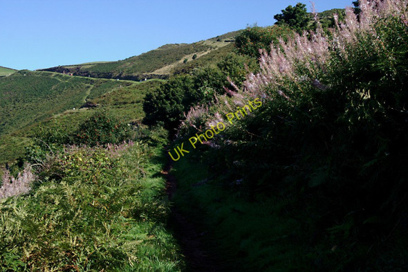 Photo 6"x4" The Coast Path up Countisbury Hill Lynton c2010