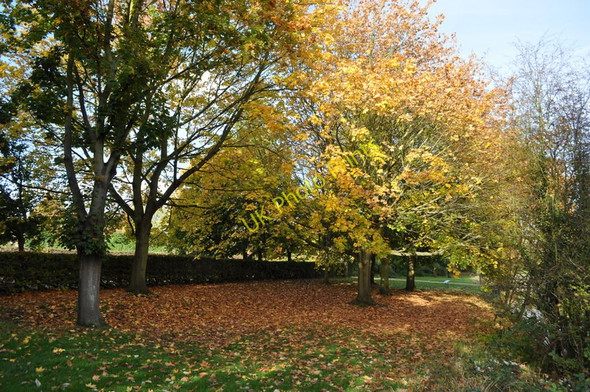 Photo 6"x4" Colours of Autumn Kirby Fields c2010