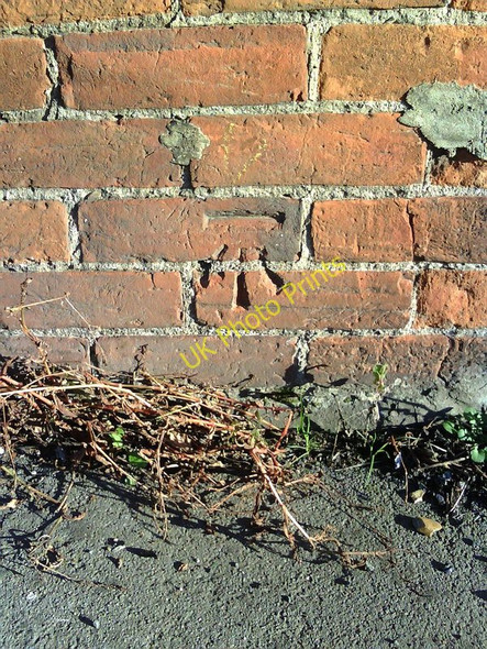 Photo 6"x4" Benchmark on #81 Bicester Road (Southern Road) Aylesbury c2010