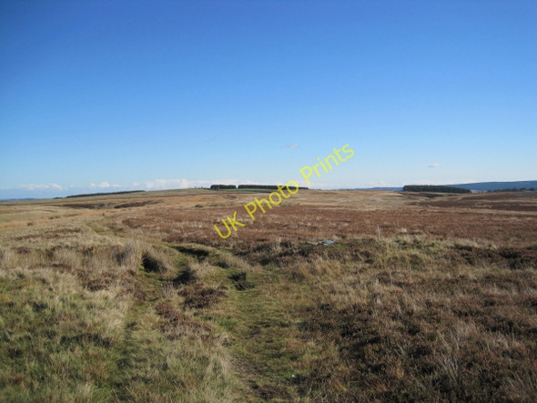 Photo 6"x4" Bridleway towards Jingling Gate Coldcoats Sike c2010