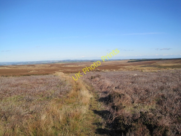 Photo 6"x4" Bridleway on Bulman's Rigg Catton\/NY8257 c2010