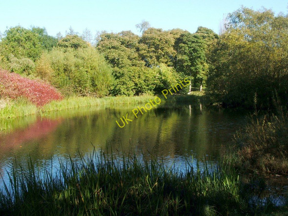 Photo 6"x4" Belmont Pond Springburn\/NS6068 c2010