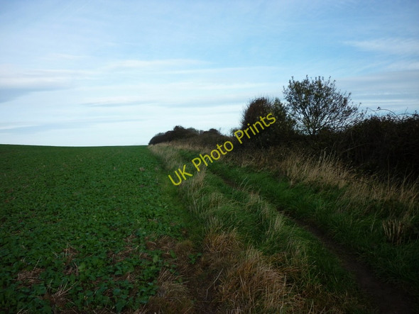 Photo 6"x4" A short cut to Lighthouse Road, Flamborough Flamborough c2010