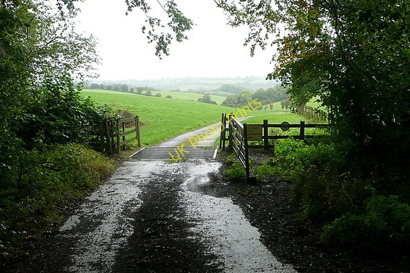 Photo 6"x4" Track to Westwood Manor Farm Catslip c2010