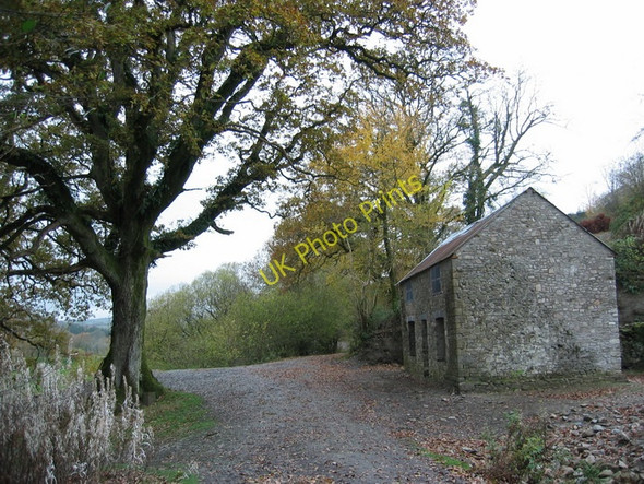 Photo 6"x4" Cwm Cottage Talley c2008