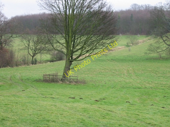 Photo 6"x4" Parkland at Goodnestone Goodnestone\/TR2554 c2007