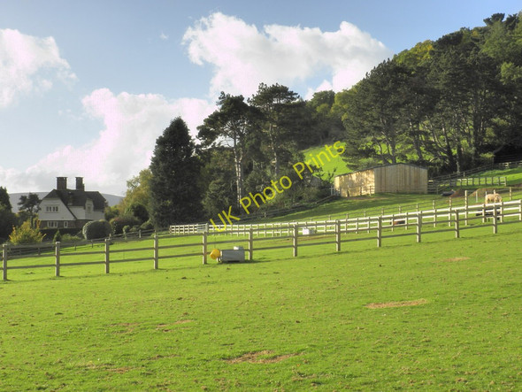 Photo 6"x4" Paddocks, near Wootton Lodge Cowbridge\/SS9542 c2010