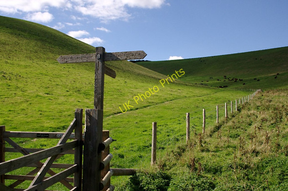 Photo 6"x4" Valley above Scabbacombe Sands Hillhead\/SX9053 c2010
