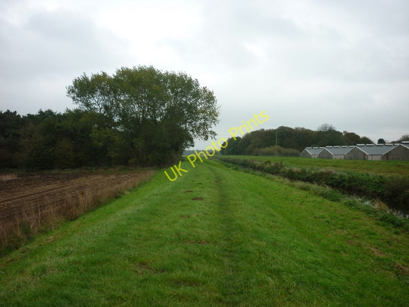 Photo 6"x4" Heading towards Snake Plantation Yaddlethorpe c2010