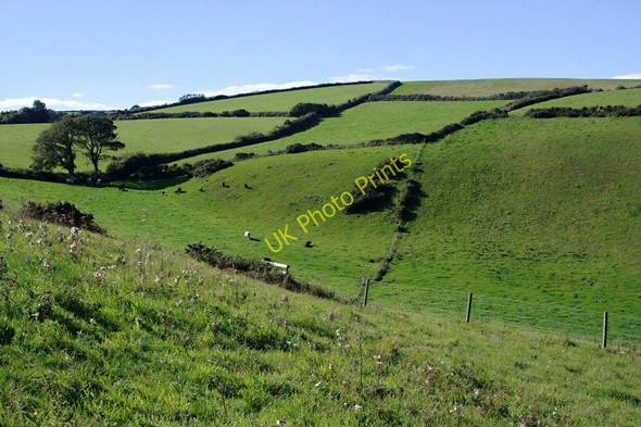 Photo 6"x4" Valley to the East of Coleton Fishacre Kingston\/SX9051 c2010