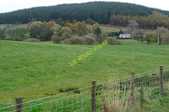 Photo 6"x4" Pasture at Brondre Fawr Bwlch-y-sarnau c2009