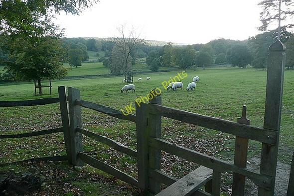 Photo 6"x4" In the grounds of Scotney Castle The Down c2010 P1