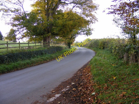 Photo 6"x4" Lane to Rudge Rudge\/SO8197 c2010