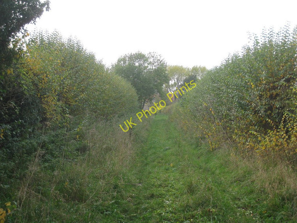 Photo 6"x4" Theaker Lane entering Scaftworth Scaftworth c2010