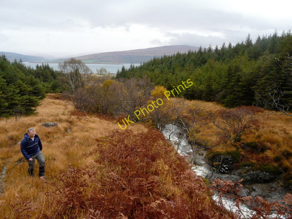 Photo 6"x4" Forestry clearing at Allt Achadh na M\u00c3\u00b2ine Allt Achadh na M\u00f2ine c2010