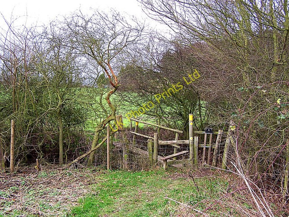 Photo 6"x4" Stile with dog-door Mockbeggar\/TQ7372 c2007