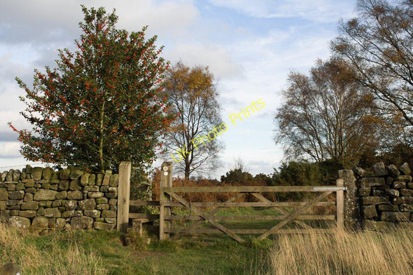 Photo 6"x4" Gate and Stile, Nidderdale Way Warsill c2010