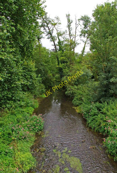 Photo 6"x4" River Mole Leatherhead c2010