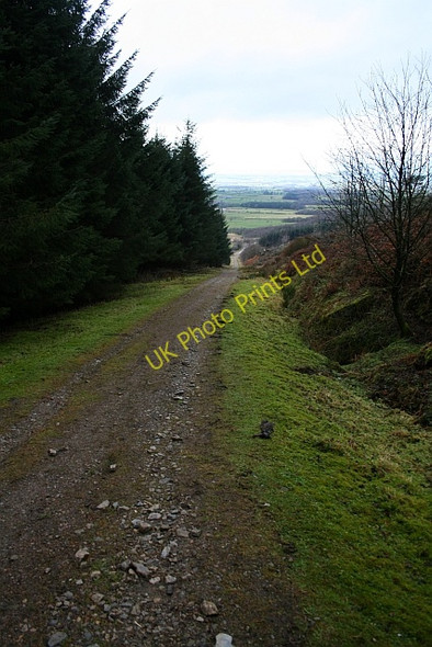 Photo 6"x4" Ingleby Incline (10) Ingleby Greenhow c2007