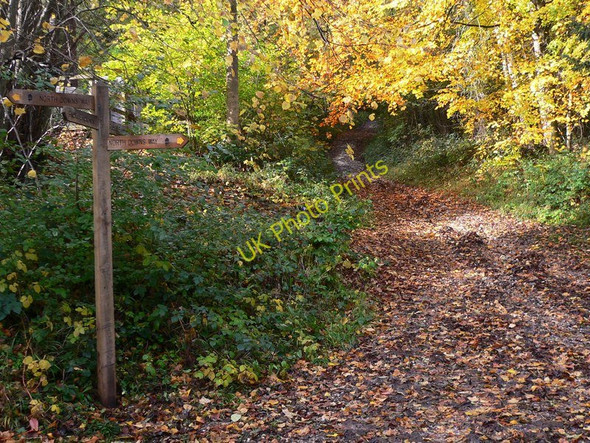 Photo 6"x4" Bridleway crosses North Downs Way in Ashcombe Wood Dorking c2010