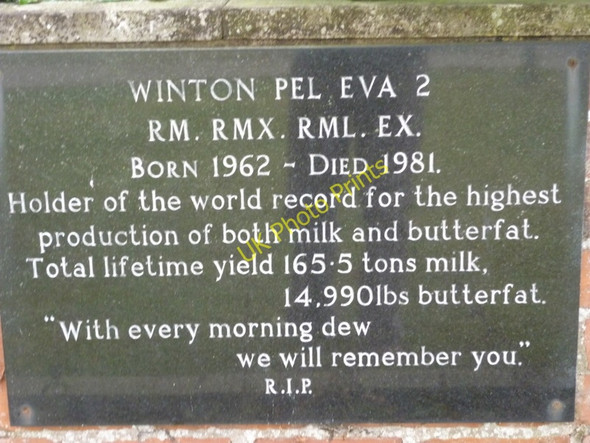 Photo 6"x4" A memorial to a cow! Kilnwick Percy c2010