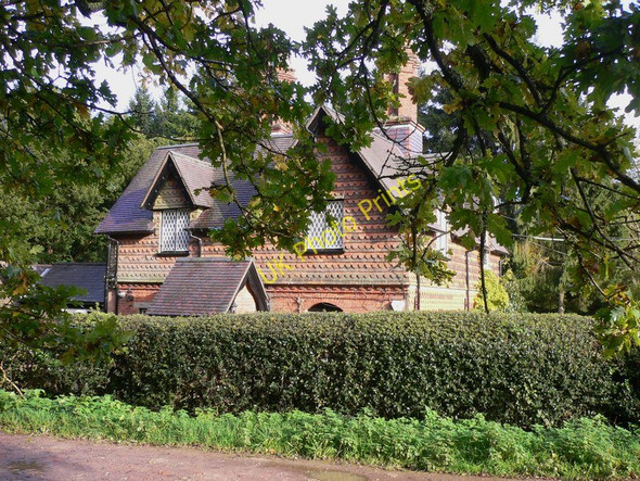 Photo 6"x4" Cottage on Ranmore Common Road Ranmore Common\/TQ1450 c2010